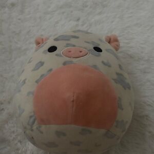 Squishmallows Cream and Gray Plush